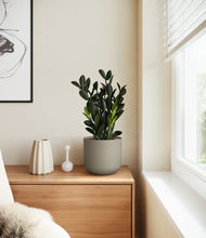 Load image into Gallery viewer, Sage Green