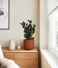 Load image into Gallery viewer, Earth Red