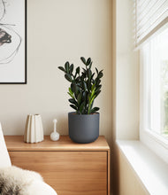 Load image into Gallery viewer, Iron Gray