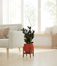 Load image into Gallery viewer, Earth Red stand:walnut