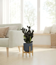 Load image into Gallery viewer, Iron Gray stand:bamboo