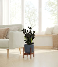 Load image into Gallery viewer, Iron Gray stand:walnut