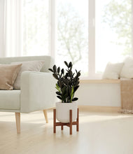 Load image into Gallery viewer, Natural Bamboo stand:walnut