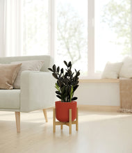 Load image into Gallery viewer, Earth Red stand:bamboo