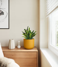 Load image into Gallery viewer, Sunset Orange