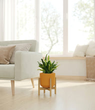 Load image into Gallery viewer, Sunset Orange stand:bamboo