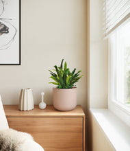 Load image into Gallery viewer, Sandy Pink