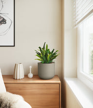 Load image into Gallery viewer, Sage Green