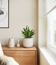 Load image into Gallery viewer, Natural Bamboo