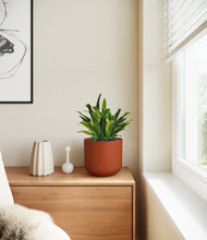 Load image into Gallery viewer, Earth Red