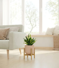 Load image into Gallery viewer, Sandy Pink stand:bamboo