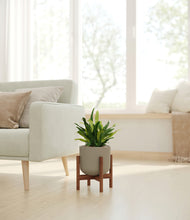 Load image into Gallery viewer, Sage Green stand:walnut