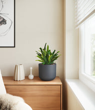 Load image into Gallery viewer, Iron Gray