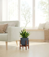 Load image into Gallery viewer, Iron Gray stand:walnut