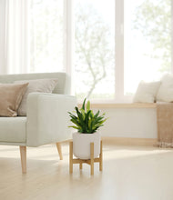 Load image into Gallery viewer, Natural Bamboo stand:bamboo