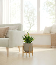 Load image into Gallery viewer, Sage Green stand:bamboo