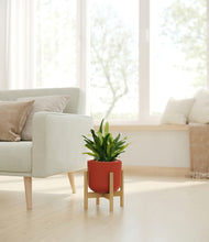 Load image into Gallery viewer, Earth Red stand:bamboo