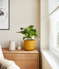 Load image into Gallery viewer, Sunset Orange