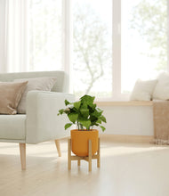 Load image into Gallery viewer, Sunset Orange stand:bamboo