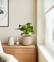 Load image into Gallery viewer, Sandy Pink