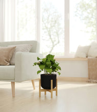 Load image into Gallery viewer, Stone Black stand:bamboo