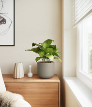 Load image into Gallery viewer, Sage Green