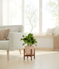 Load image into Gallery viewer, Sandy Pink stand:walnut