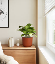 Load image into Gallery viewer, Earth Red