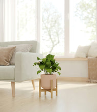 Load image into Gallery viewer, Sandy Pink stand:bamboo