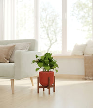 Load image into Gallery viewer, Earth Red stand:walnut