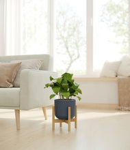 Load image into Gallery viewer, Iron Gray stand:bamboo