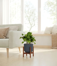 Load image into Gallery viewer, Iron Gray stand:walnut