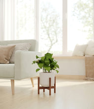 Load image into Gallery viewer, Natural Bamboo stand:walnut