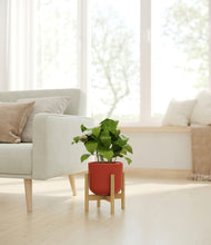 Load image into Gallery viewer, Earth Red stand:bamboo