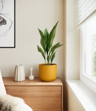 Load image into Gallery viewer, Sunset Orange