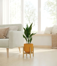 Load image into Gallery viewer, Sunset Orange stand:bamboo