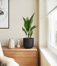 Load image into Gallery viewer, Stone Black