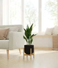 Load image into Gallery viewer, Stone Black stand:bamboo