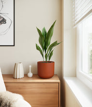 Load image into Gallery viewer, Earth Red