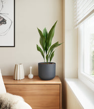 Load image into Gallery viewer, Iron Gray