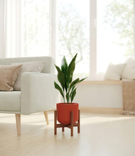 Load image into Gallery viewer, Earth Red stand:walnut