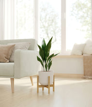 Load image into Gallery viewer, Natural Bamboo stand:bamboo