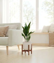 Load image into Gallery viewer, Natural Bamboo stand:walnut