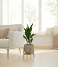 Load image into Gallery viewer, Sage Green stand:bamboo