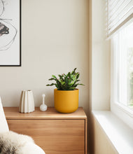 Load image into Gallery viewer, Sunset Orange