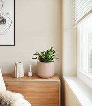 Load image into Gallery viewer, Sandy Pink