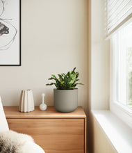 Load image into Gallery viewer, Sage Green