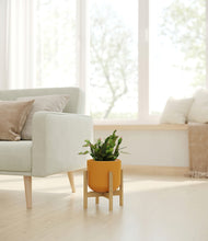 Load image into Gallery viewer, Sunset Orange stand:bamboo
