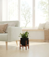 Load image into Gallery viewer, Stone Black stand:walnut