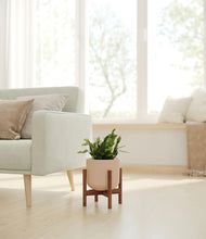 Load image into Gallery viewer, Sandy Pink stand:walnut